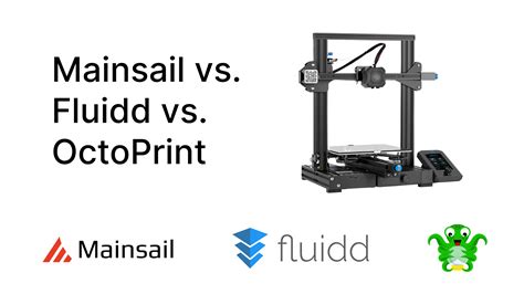 I went the Fluidd route. . Mainsail vs octoprint